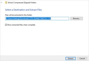 Confirm to Extract Files