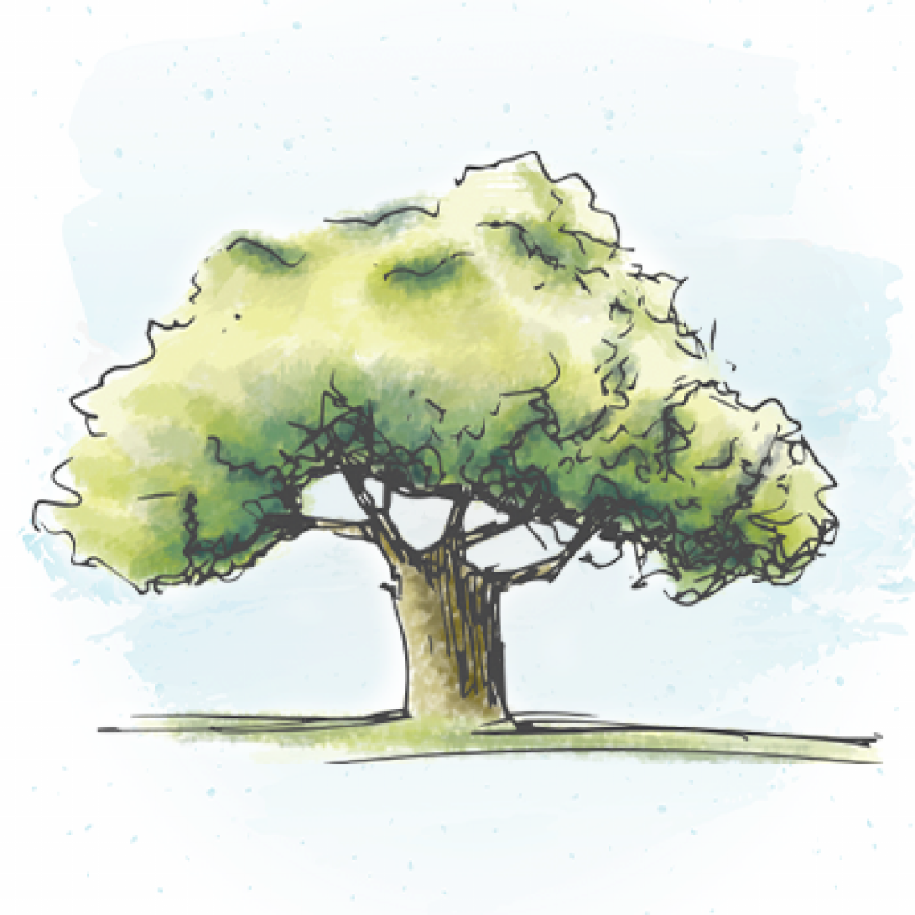 Watercolor image of a tree