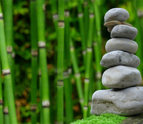 Our World Needs Wisdom of Weak Ties